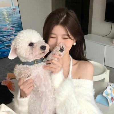 仙女座报告
