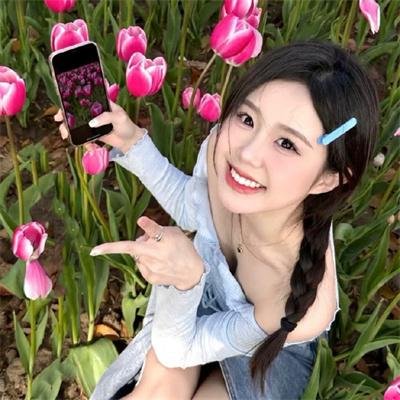 社会中坚